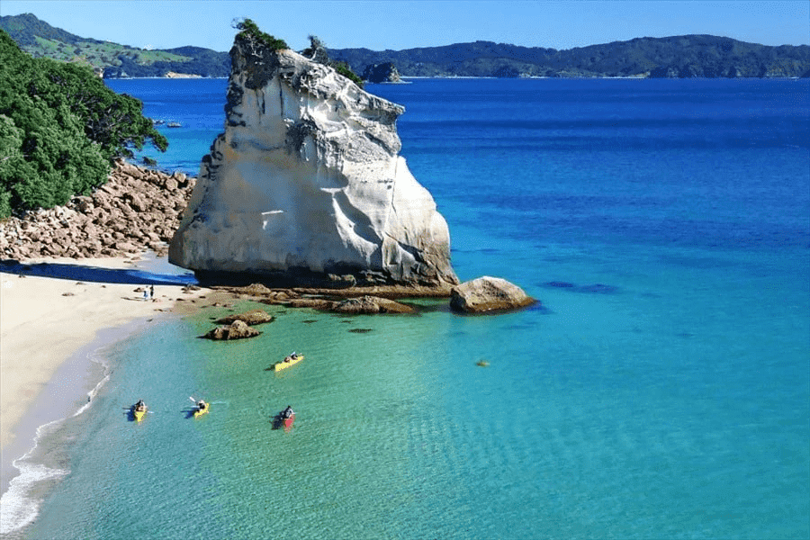 New Zealand Amplified Tour